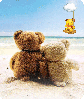 bears on the beach