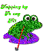 Frog - Hi