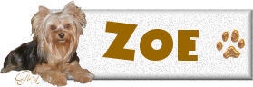 Yorkie Nameplate- Zoe