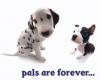 pals are forever...