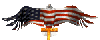patriotic eagle
