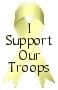 i support our troops