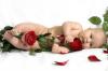 baby with roses