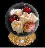 Roses Globe