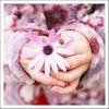 pink hand flower