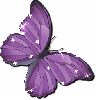 sparkly purple butterfly
