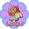 Lynyrd flower fairy