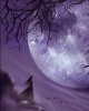purple moon