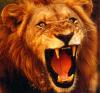 lion king! B)