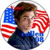 Vote Cullen 08'