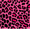 pinker cheetah