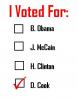 I Voted for David Cook