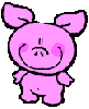 cute lil pig