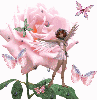 Pink Butterfly Fairy
