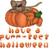 Purr-fect halloween - cat n pumpkin