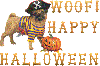 Woof! Happy halloween - pirate halloween dog