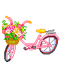 PINK BICYCLE