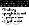 Rule 33 of hogwarts