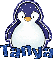Tanya - Penguin