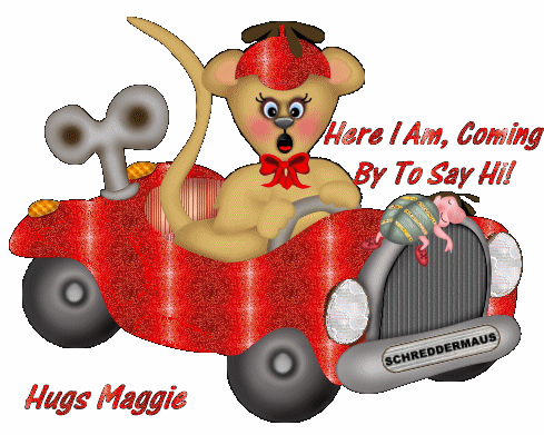 Bear in car with Maggie name