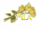 yellow roses name-Mila