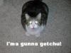 kitty gunna getchu