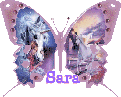 sara's pink unicorn butterfly