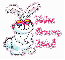 You're Groovy~Bunny