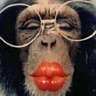 Monkey kisses
