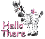 zebra hello there