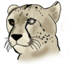 Cheetah Pixel