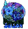 Susan globe hibiscus