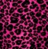 pink lepard