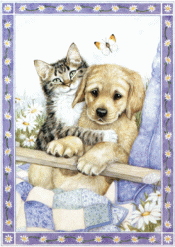 cute cat with dog