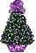 purple mismis tree,  Andrea