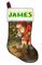 james's socking