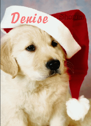 Denise Puppy