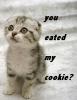 My Cookie?