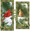 winter birds