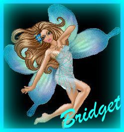 fairy Bridget