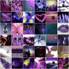 stars purple collage