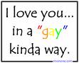 I love you in a "Gay" kind of way