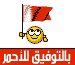 flag of bahrain