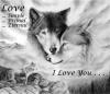 love wolfmates