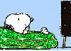 lounging snoopy