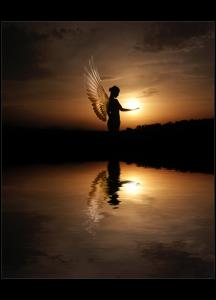 fairy beauty