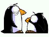 Kissing Penguins