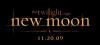 Official Artwork for New Moon