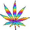 weed hippie rainbow glitter