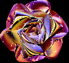Rainbow Sparkle Rose 